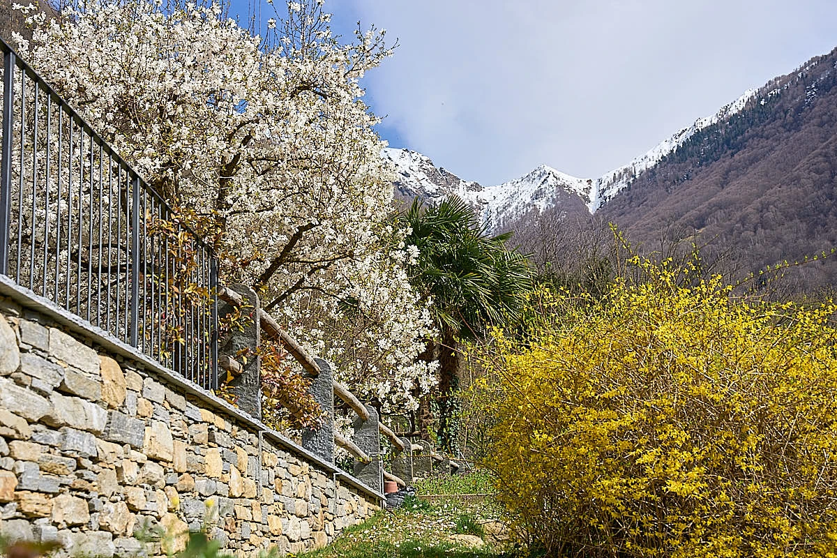 Impressioni speciali sulla Valle Maggia