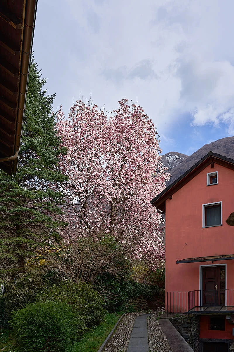 Impressioni speciali sulla Valle Maggia